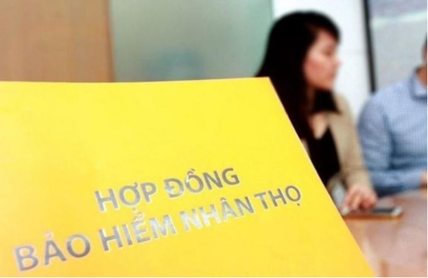 Mổ xẻ hoa hồng bảo hiểm - Ảnh 1.