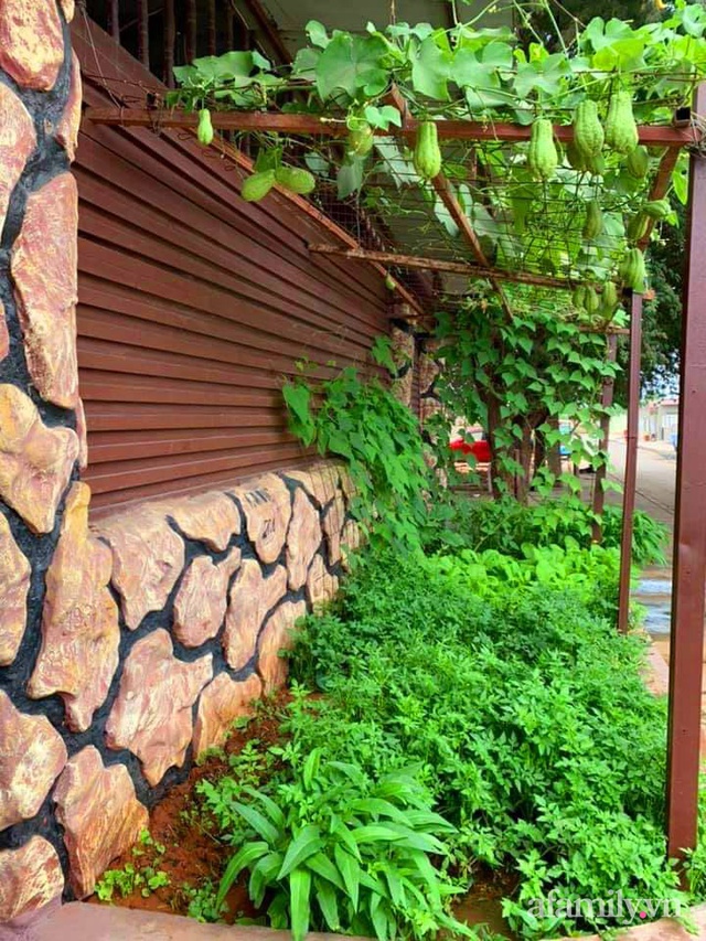 Khu vườn trước cửa xanh mát với đủ loại rau củ của chàng trai Việt ở châu Phi - Ảnh 21.