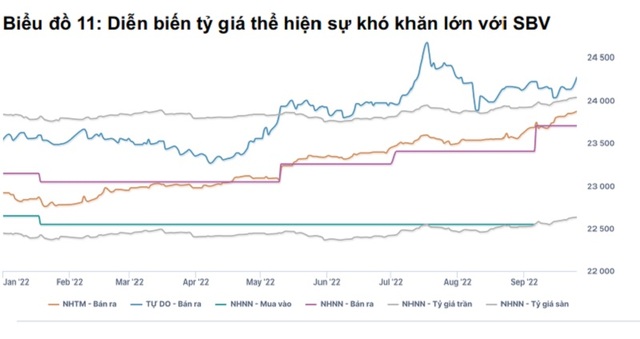 CEO WiGroup: Dự trữ ngoại hối Việt Nam còn khoảng 87 tỷ USD - Ảnh 2.