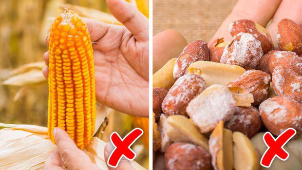 Có 100 triệu nhưng không muốn gửi tiết kiệm: 3 cách đầu tư tiền đẻ tiền ở thời điểm này - Ảnh 1.