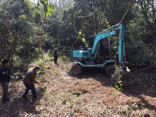 Đôi vợ chồng mới cưới sống ẩn dật trên núi, xây nhà rộng 300m2: Cuộc sống không xã giao, thật tuyệt! - Ảnh 4.