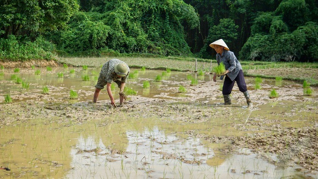 Bỏ việc lương 10 triệu, chàng trai về quê trồng rau, nuôi gà: Bình yên nhưng không dễ dàng - Ảnh 6.