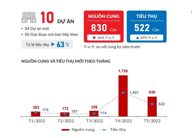  Bức tranh ảm đạm của phân khúc nhà phố, biệt thự tại TP.HCM và các tỉnh lân cận - Ảnh 3.