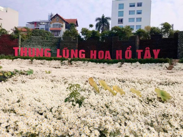 Sai phạm đất đai tràn lan ở Thung lũng hoa Hồ Tây - Ảnh 1.