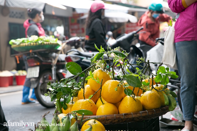 Hàng bưởi Diễn da vàng óng có từng búi hoa tươi trở thành món hàng siêu độc trên chợ nhà giàu Hà Nội, tận 100k/quả, bà chủ thu cả chục triệu mỗi ngày! - Ảnh 13.