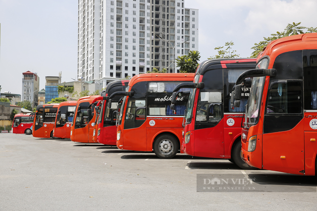 Báo động nhiều doanh nghiệp vận tải không thể trả nợ trước hạn - Ảnh 1.