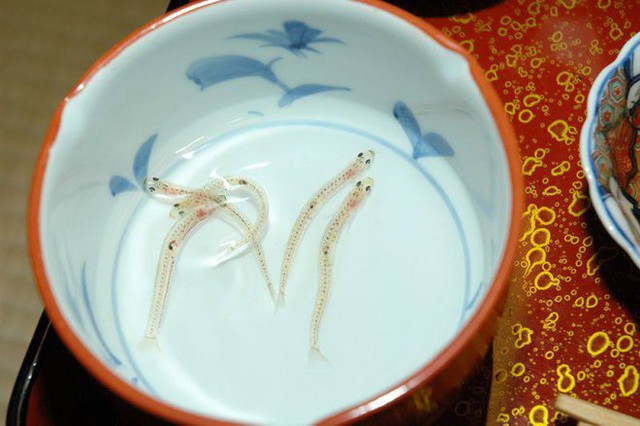  Dân mạng sốc với món đồ uống từ cá sống của Nhật Bản: Người nghe tên đã không dám thử nhưng có người lại… thích mê - Ảnh 7.
