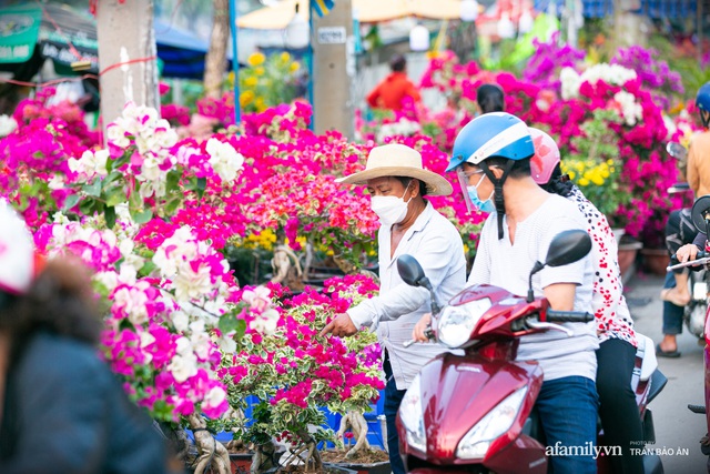 Đến hẹn hằng năm giữa Sài Gòn lại xuất hiện chợ hoa nổi, bà con miền Tây lặn lội đưa cây kiểng mong mang hương sắc Tết đến mọi nhà - Ảnh 7.