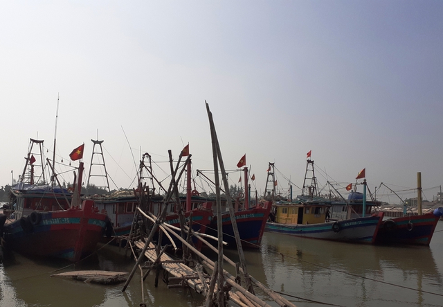Đánh bắt xa bờ hay đánh bạc xa bờ? - Ảnh 2.