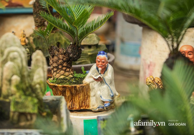 Vạn tuế bonsai của nghệ nhân Hà thành giá hàng chục triệu đồng vẫn hút khách dịp Tết - Ảnh 5.