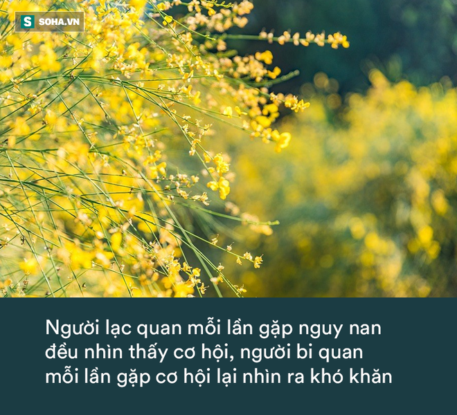 Được tặng quà sinh nhật toàn là phân ngựa, cậu bé phản ứng bằng 1 câu nằm ngoài tưởng tượng, rất đáng để học hỏi - Ảnh 1.