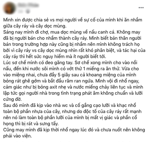  CẤP BÁCH: Thứ rau khoái khẩu của người Việt hay bị nhầm lẫn với loại có độc tố nặng, chỉ ăn 1 miếng cũng đủ gây nguy hiểm - Ảnh 1.