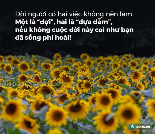  Đời người có 2 việc nhất định không nên làm, phạm phải 1 trong 2 cũng coi như đã phí hoài cuộc sống - Ảnh 1.