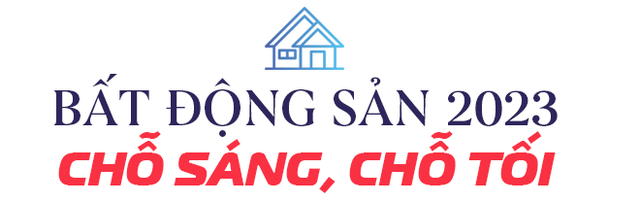 Chủ tịch DKRA Group: Bất động sản năm Quý Mão như “Mèo Tam thể” - Ảnh 1.