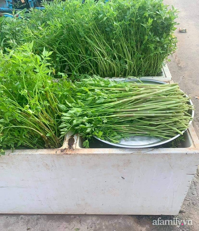 Khu vườn trước cửa xanh mát với đủ loại rau củ của chàng trai Việt ở châu Phi - Ảnh 9.