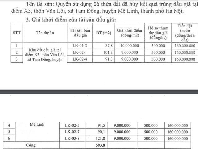 Hà Nội đấu giá lại loạt đất liền kề bị hủy kết quả, giá khởi điểm 9 triệu/m2 - Ảnh 1.