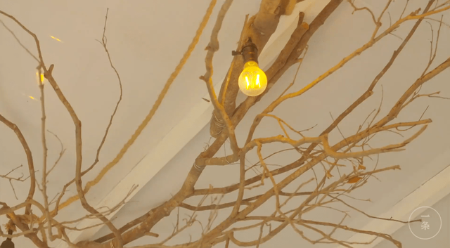 Đôi vợ chồng mới cưới sống ẩn dật trên núi, xây nhà rộng 300m2: Cuộc sống không xã giao, thật tuyệt! - Ảnh 10.