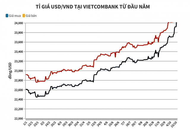 Phòng vệ rủi ro tỷ giá - Ảnh 1.