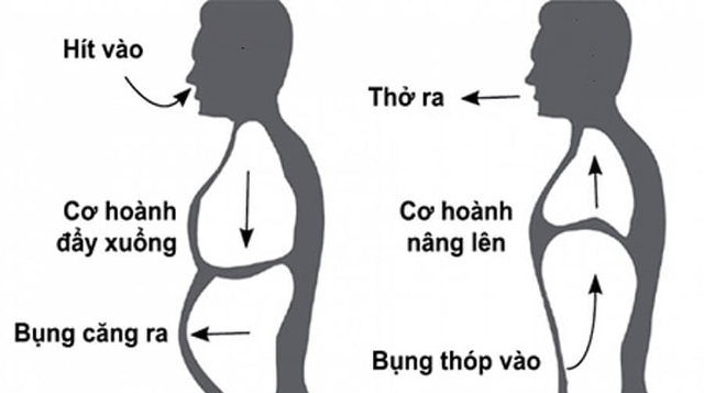 Phổi là lá chắn của sức khỏe, đây là 3 bài tập bảo vệ phổi được bác sĩ chuyên khoa khuyến khích, luyện tập mỗi ngày thì không lo ốm - Ảnh 1.