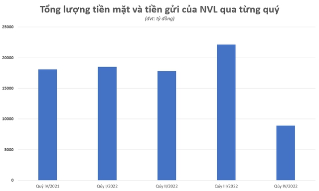 Novaland đang có bao nhiêu tiền? - Ảnh 1.