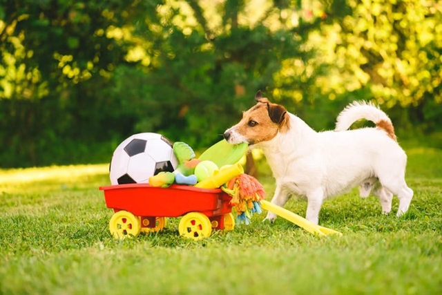 9 món đồ mua chỉ phí tiền mà nhiều người vẫn ham, số 8 các mẹ bỉm sữa cực hay mắc - Ảnh 6.