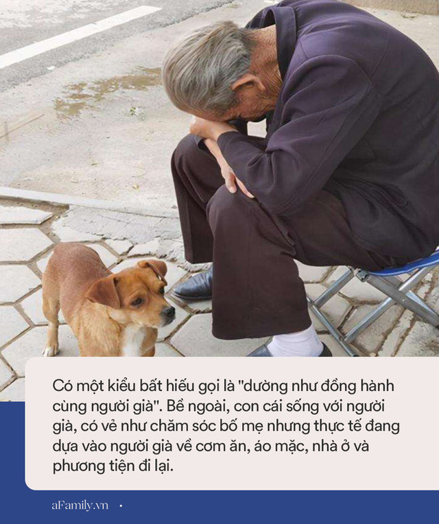 Có một kiểu bất hiếu cực đáng sợ: Bề ngoài tưởng đối tốt nhưng bên trong đang âm thầm bòn rút tiền bạc, sức khỏe của cha mẹ - Ảnh 2.