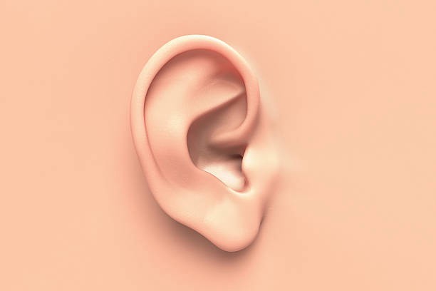 12 bộ phận trên cơ thể có thể hé lộ trí thông minh của bạn - Ảnh 4.