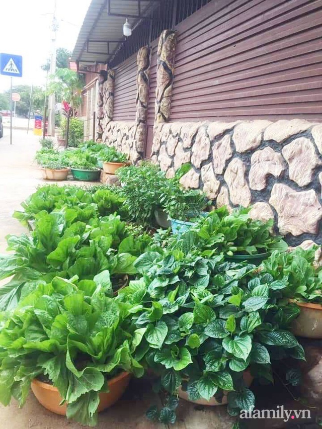 Khu vườn trước cửa xanh mát với đủ loại rau củ của chàng trai Việt ở châu Phi - Ảnh 7.