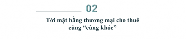 Vỡ mộng làm giàu khi đầu tư BĐS cho thuê-Bài 2: Đầu tư cho thuê căn hộ nghỉ dưỡng tới shophouse đều điêu đứng - Ảnh 2.