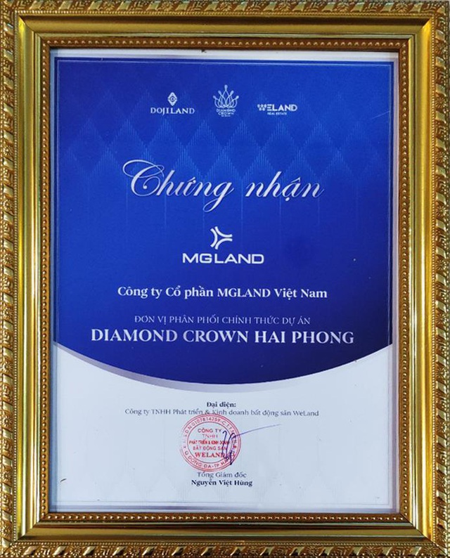 MGLAND chính thức phân phối bất động sản hạng sang đất Cảng Hải Phòng - Ảnh 1.