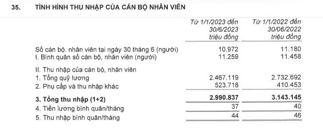 Bình quân mỗi nhân viên Techcombank mang về 936 triệu đồng LNTT trong nửa đầu năm, thu nhập 45 triệu đồng/tháng - Ảnh 2.