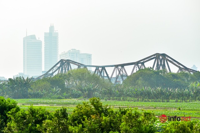 Hà Nội: Toàn cảnh bãi giữa sông Hồng nên thơ được đề xuất cải tạo thành công viên văn hóa - Ảnh 4.