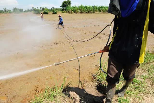 Sa mạc có một loại dưa hấu kỳ lạ nhưng không ai dám ăn, nguy hiểm đến mức phải để bảng cấm - Ảnh 10.