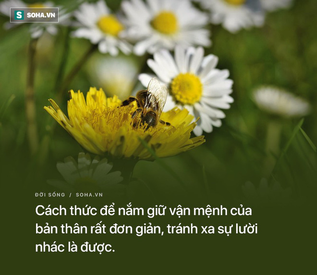 Bất mãn rồi sinh ra hận công ty, người đàn ông được đồng nghiệp hiến kế báo thù, không ngờ nửa năm sau được thăng chức - Ảnh 2.