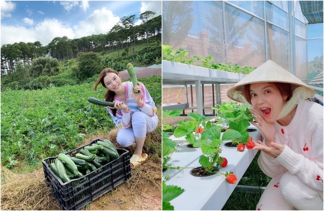 Lý Nhã Kỳ và cuộc sống viên mãn ở tuổi 38: Sự nghiệp thăng hoa, giàu tới mức mua đồ hiệu theo lô nhưng vẫn cô đơn lẻ bóng - Ảnh 16.