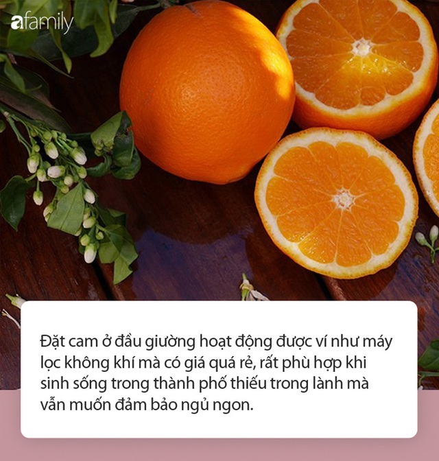 Đặt cam ở đầu giường mỗi tối trước khi đi ngủ: Chuyên gia nói tốt chẳng kém máy lọc không khí đắt tiền - Ảnh 2.