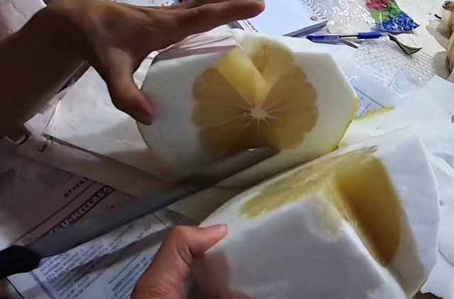 Dân mạng xôn xao loại bưởi lạ to như quả bí khổng lồ, ăn được từ vỏ đến ruột với giá lên tới 100k/kg!? - Ảnh 7.
