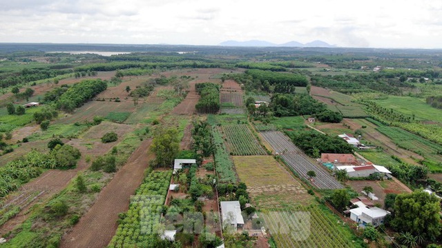 Cận cảnh khu đất hơn 1,8 nghìn ha đang thu hồi làm sân bay Long Thành - Ảnh 17.