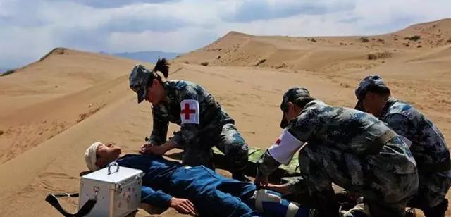  Trên sa mạc bất ngờ mọc vô số quả dưa hấu, chuyên gia: Có khát cũng không được chạm vào - Ảnh 2.