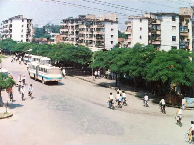 Xoài nhãn rải khắp phố phường, tưởng thiên đường nhưng lại là nỗi khổ không lời của các thành phố Trung Quốc - Ảnh 2.