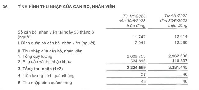 Bình quân mỗi nhân viên Techcombank mang về 936 triệu đồng LNTT trong nửa đầu năm, thu nhập 45 triệu đồng/tháng - Ảnh 1.