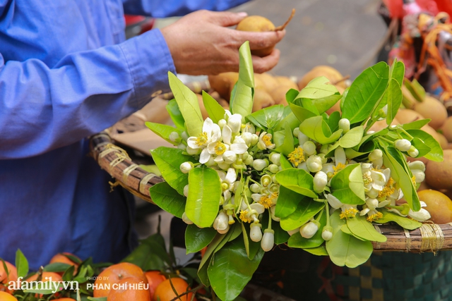 Hàng bưởi Diễn da vàng óng có từng búi hoa tươi trở thành món hàng siêu độc trên chợ nhà giàu Hà Nội, tận 100k/quả, bà chủ thu cả chục triệu mỗi ngày! - Ảnh 14.
