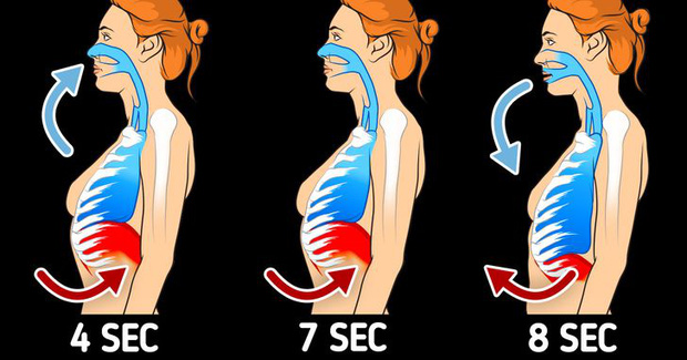 9 cách để làm hệ tiêu hóa của bạn hoạt động trơn tru hơn, ngăn chặn tình trạng tích trữ mỡ thừa - Ảnh 8.