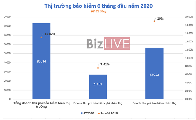 [Chart] Bức tranh thị trường bảo hiểm Việt Nam 6 tháng đầu năm - Ảnh 1.