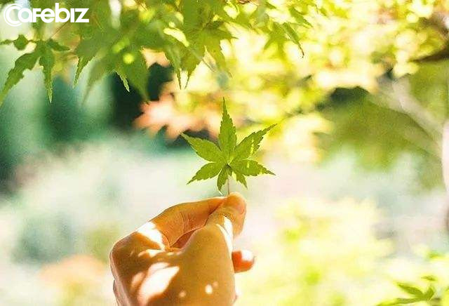 Sống, một khi bạn dừng lại, bạn nghĩ rằng mình vẫn đứng yên tại chỗ, nhưng thật ra là tụt về phía sau: Trách nhiệm của đời người là kiên trì quản lý bản thân! - Ảnh 1.