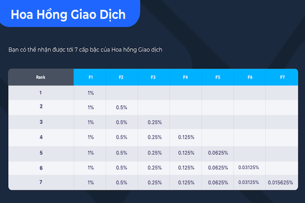 Nguy cơ “tiền mất tật mang” tại Wefinex - Ảnh 3.