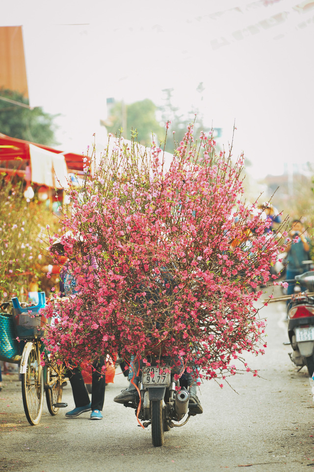 Tết Nguyên đán nên chưng hoa gì để hút tài lộc, may mắn? - Ảnh 1.