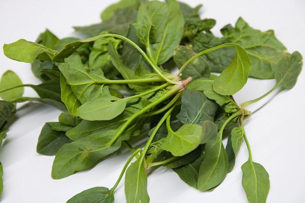 Bất kể đàn ông hay phụ nữ, sau tuổi 50 nên tránh 3 loại thực phẩm, ăn nhiều sẽ làm tổn thương não và dễ dẫn đến mất trí nhớ - Ảnh 5.