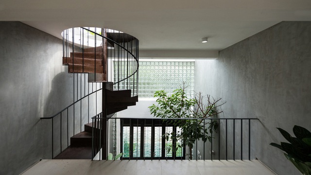  Cặp vợ chồng 9x bỏ Hà Nội về Thái Nguyên tậu cơ ngơi hoành tráng, tận hưởng cuộc sống yên bình với khu vườn trên cao cực chất - Ảnh 15.