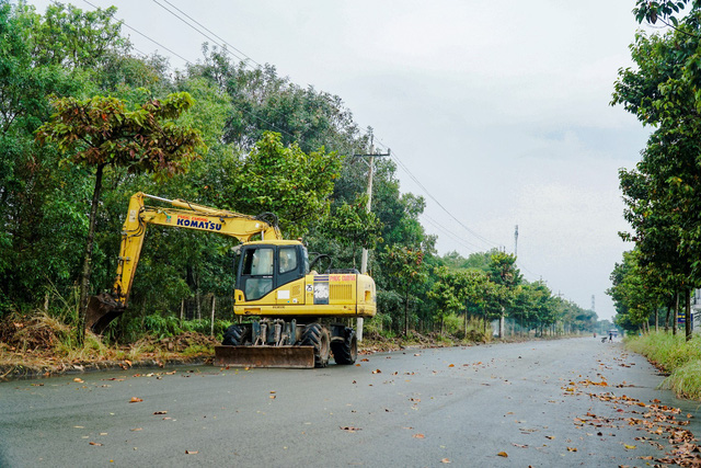 Trục đường Đông Tây sẽ trở thành cung đường đẹp bậc nhất cửa ngõ Đông Sài Gòn - Ảnh 1.